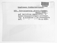 Image Associated With the Occurence